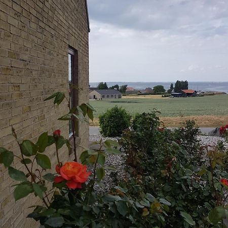 Molevitten Apartments Søby Eksteriør bilde