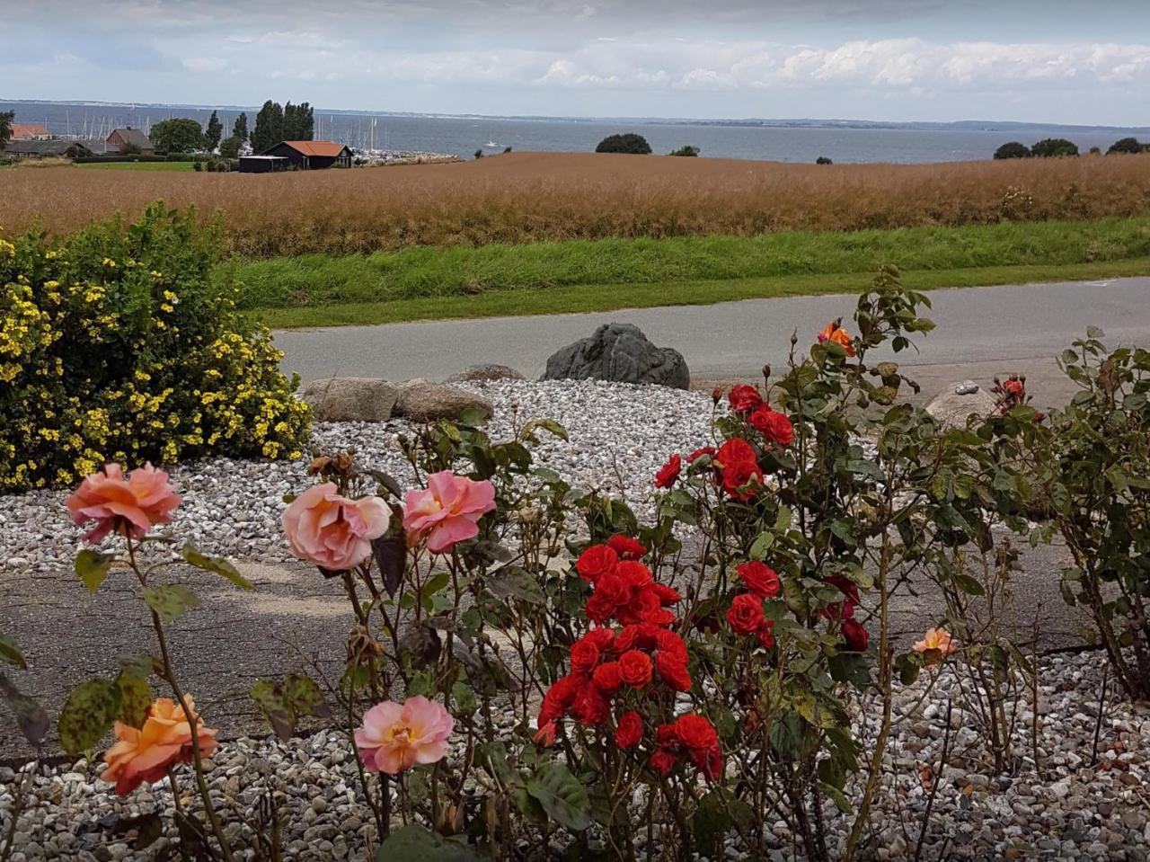 Molevitten Apartments Søby Eksteriør bilde